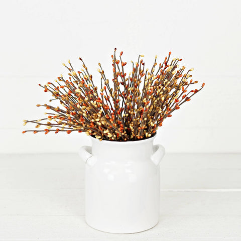 Pip Berry Pick- Spice