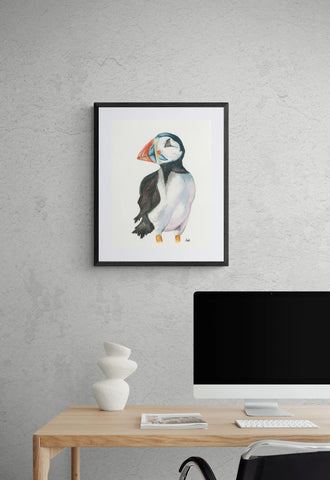 Handsome Puffin