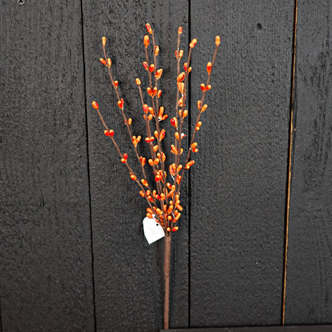 Pip Berry Pick-Orange