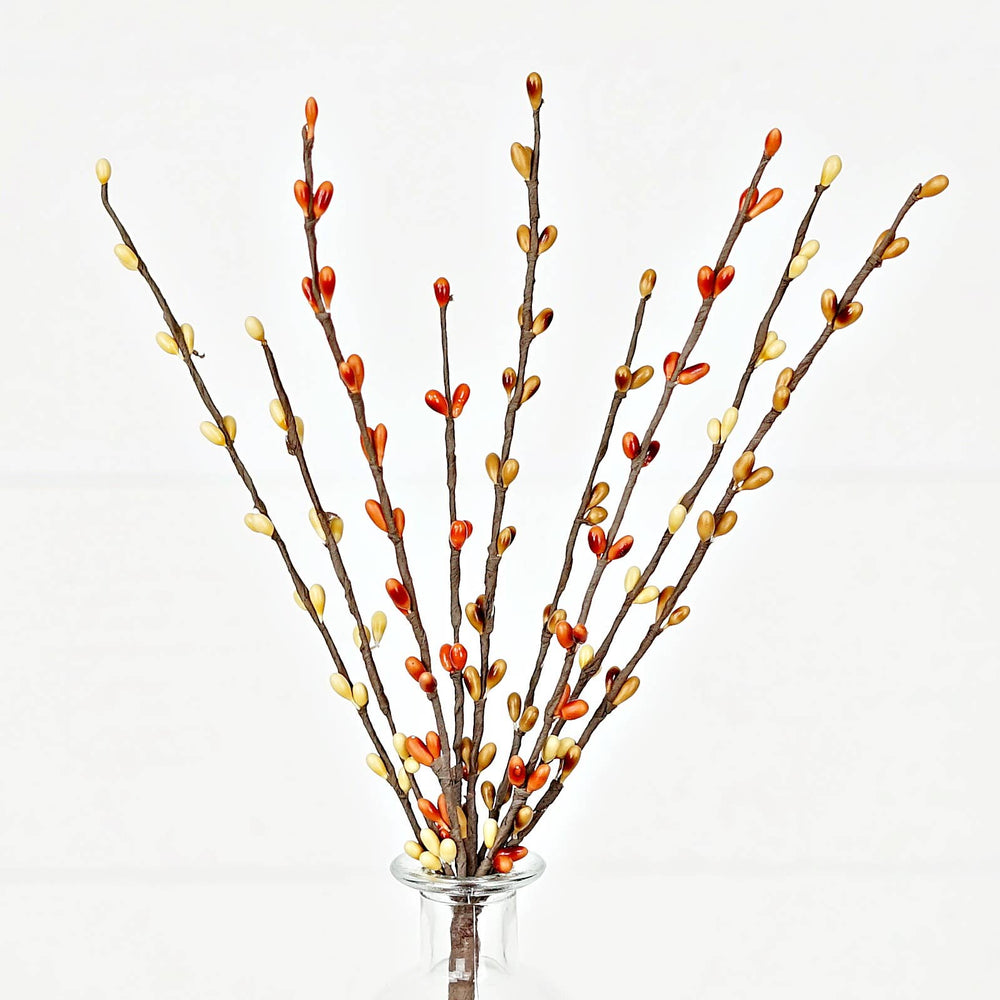 Pip Berry Pick- Spice
