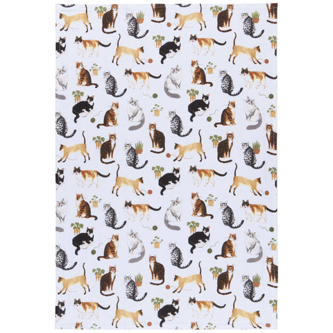 Cat Collective Bakers Floursack Dishtowels Set of 3