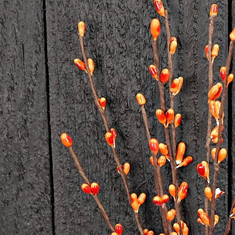 Pip Berry Pick-Orange
