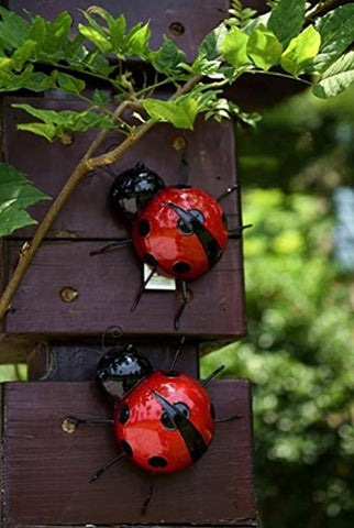 Ladybug Decor