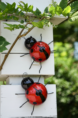 Ladybug Decor