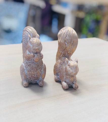 Metallic Squirrel