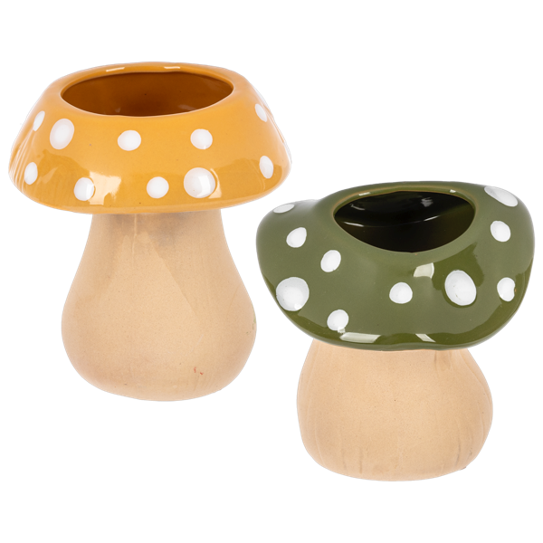 Mushroom Planter