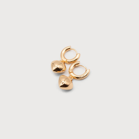 Heart and Hoop Earrings