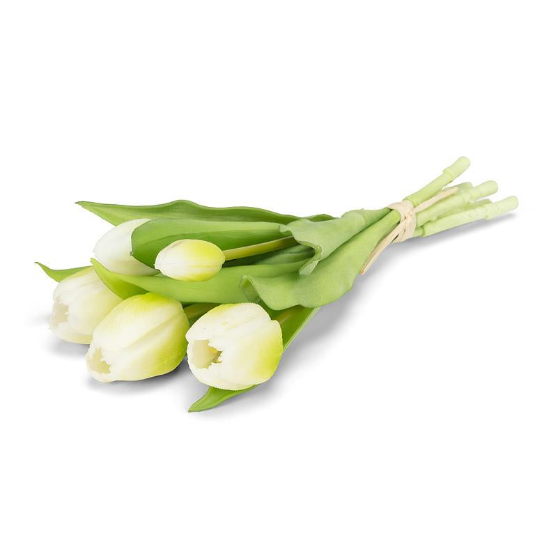 Tulip Bunch White