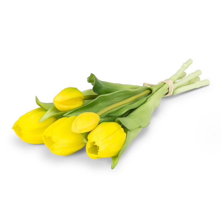 Tulip Bunch Yellow