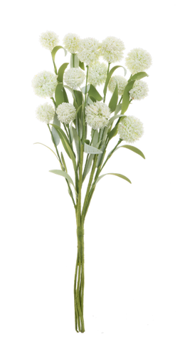 Pom Pom Spray