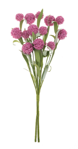 Pom Pom Spray