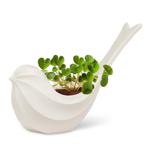 Bird Planter
