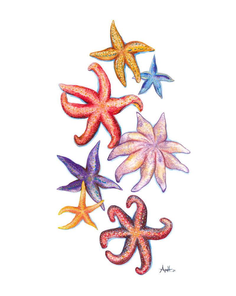 Starfish Point Art Print
