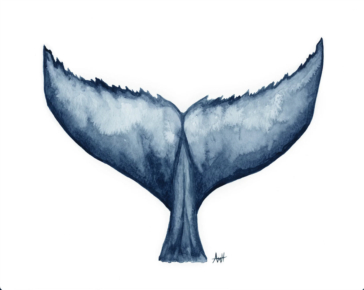 Humpback Hello