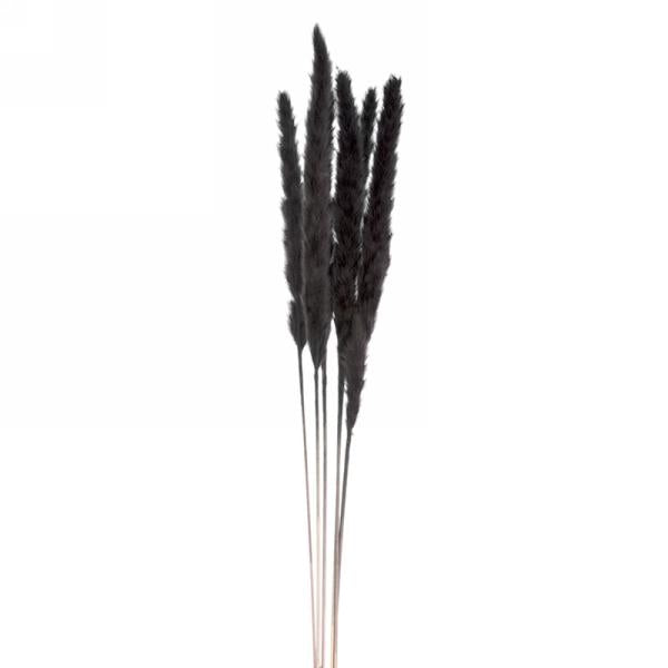 Natural Feather Bundle