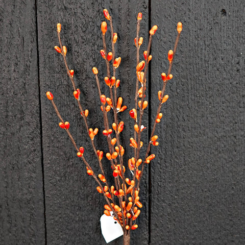 Pip Berry Pick-Orange
