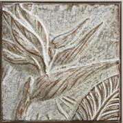 Birds Of Paradise Wall Art