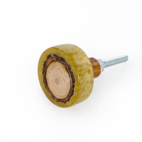 Wood and Resin Slice Knob