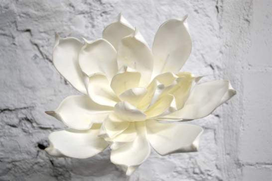 White Tiare
