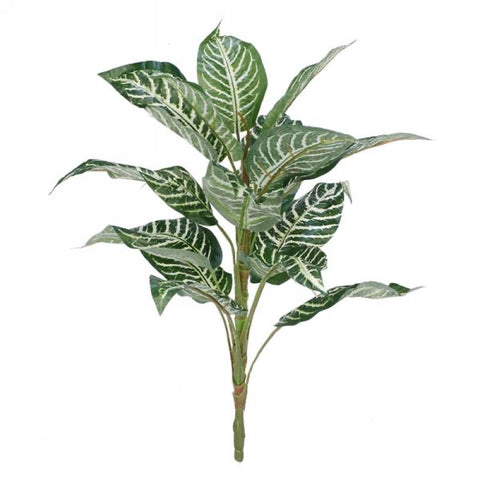 Green leaf foliage bunch
