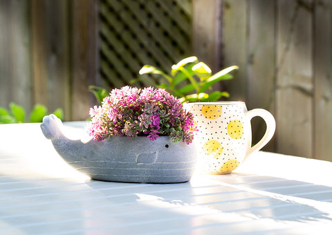 Whale Planter