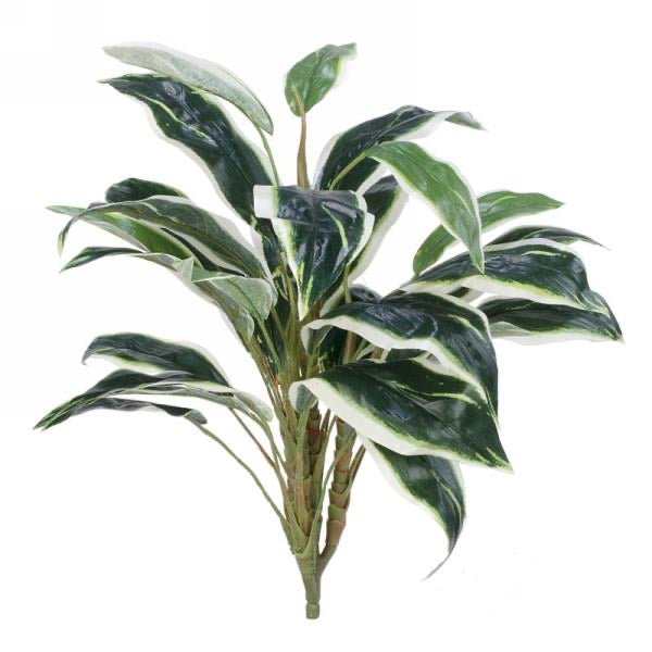 Long leaf foliage bunch