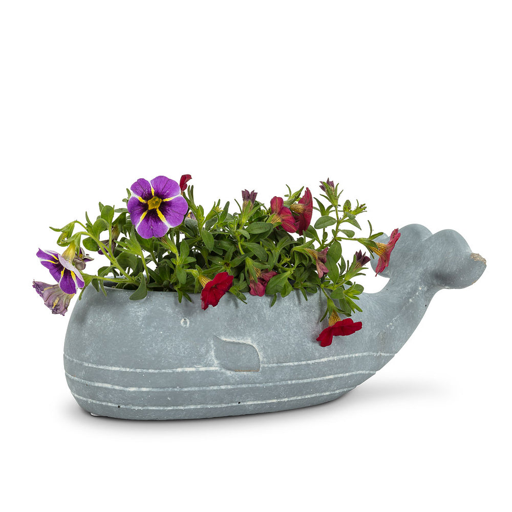 Whale Planter