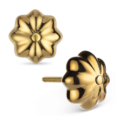 Metallic Finish Gourd Knob